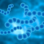 【論文/感染症】妊娠中のA群連鎖球菌感染による感染性仙腸関節炎に関する症例報告