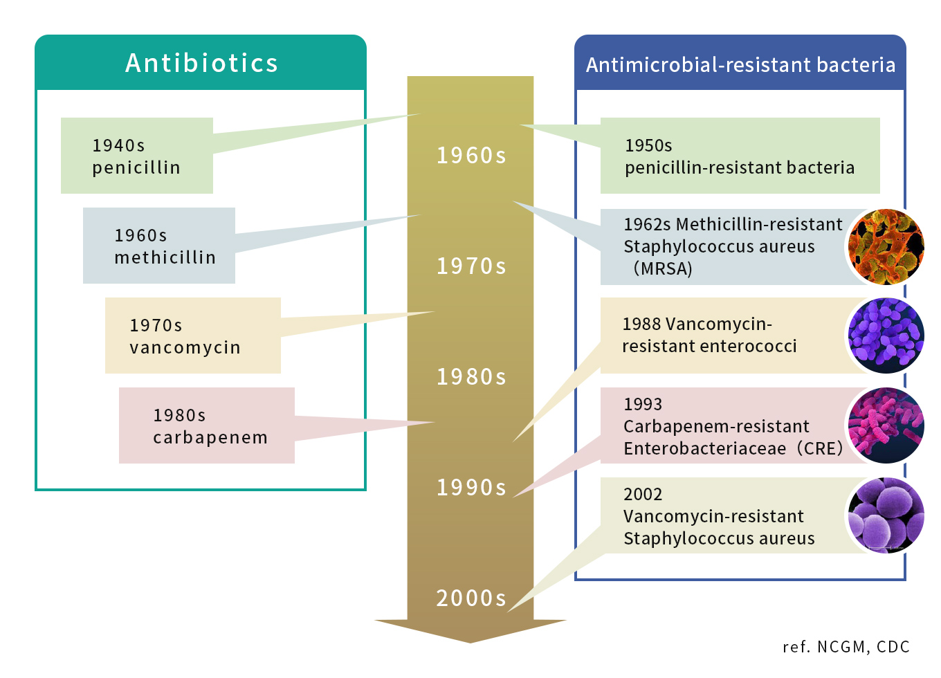 Antimicrobial Resistance Bacteria