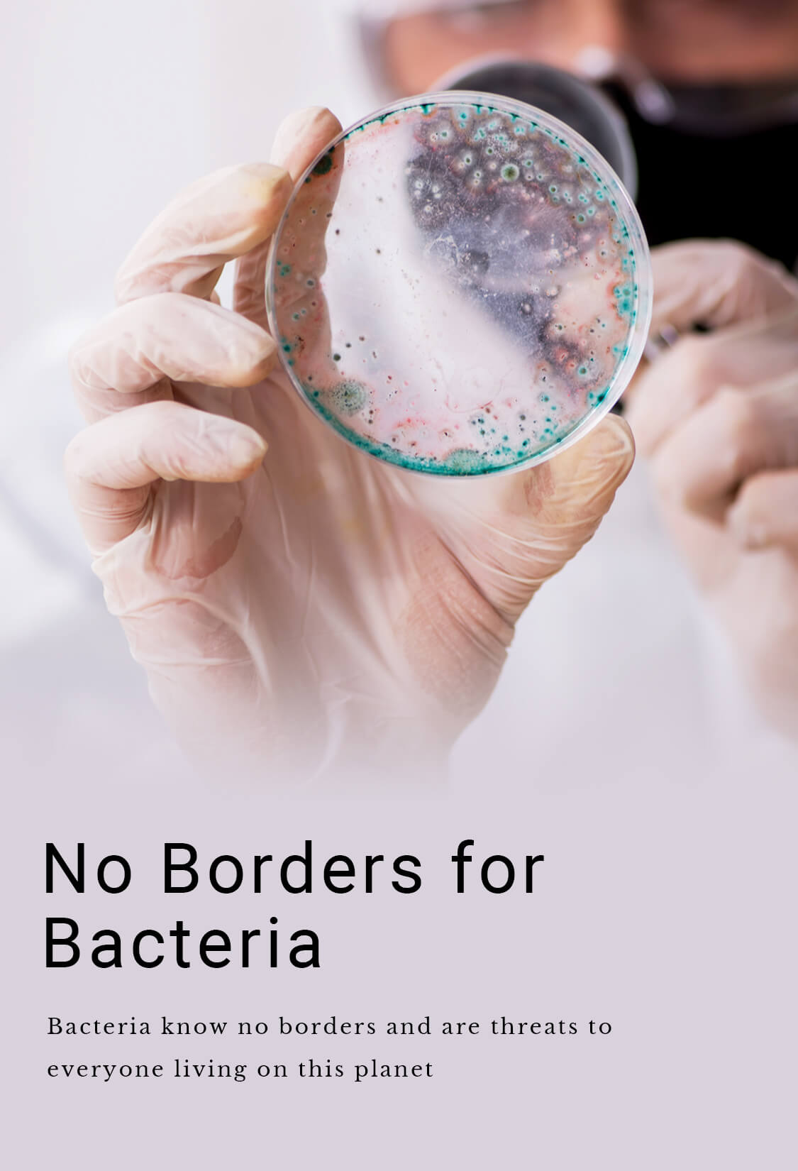 No Borders for Bacteria
