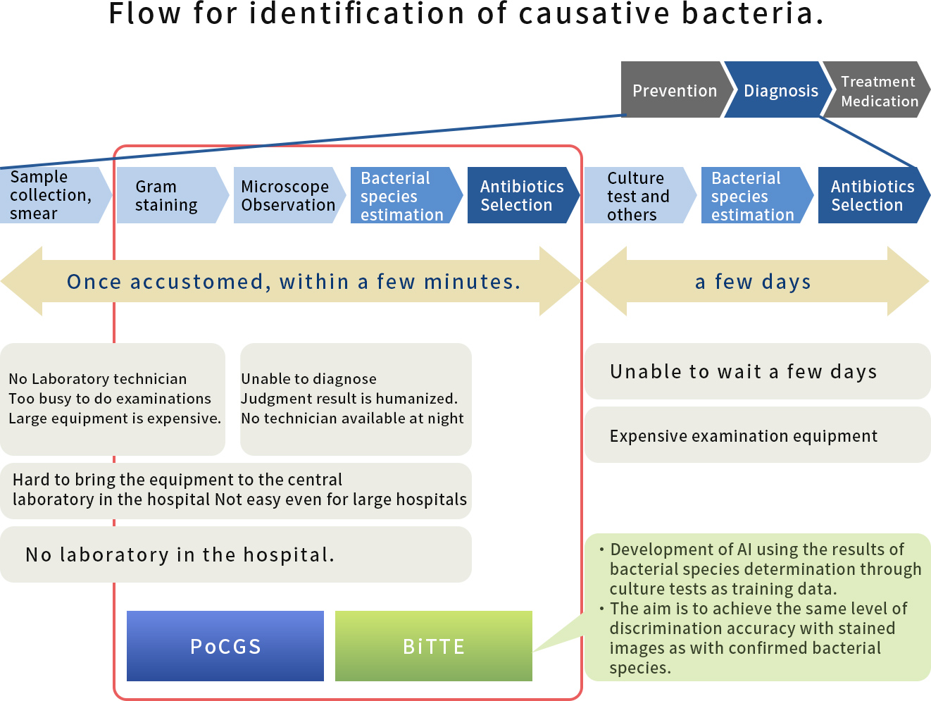 Flow for identification of causative bacteria.