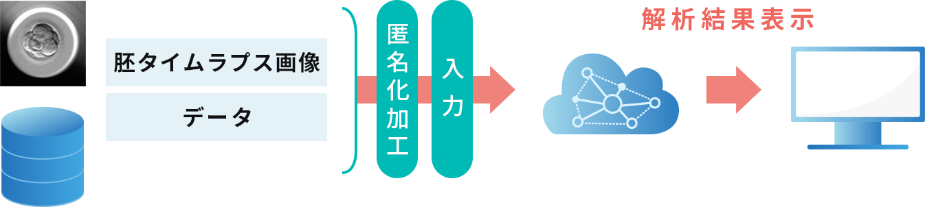 非侵襲タイムラプス解析ワークフロー図