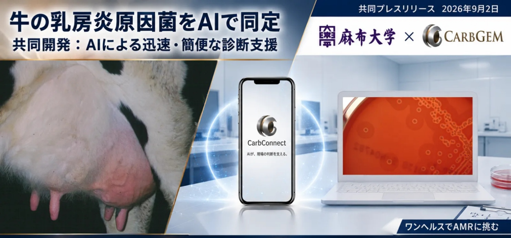麻布大学獣医学部×カーブジェン 牛乳房炎原因菌AI同定システム 共同開発